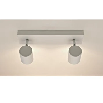 GAMMA Opbouwspot Genua 2-lichts Mat Wit 4 GAMMA Opbouwspot Genua 2-lichts Mat Wit - Afbeelding 2