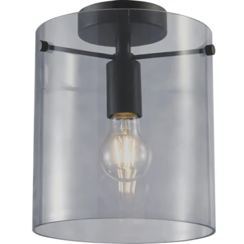 GAMMA Plafondlamp Hugo E27 Zwart 4 GAMMA Plafondlamp Hugo E27 Zwart - Afbeelding 2