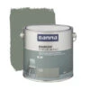 GAMMA Muurverf Mat 2,5 L Salie 2 GAMMA Muurverf Mat 2,5 L Salie -Gamma 123 1647